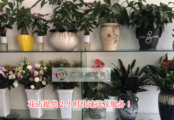 成都锦江区花店提供成都锦江区2小时快速送花服务