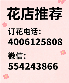 成都锦江区花店哪家好
