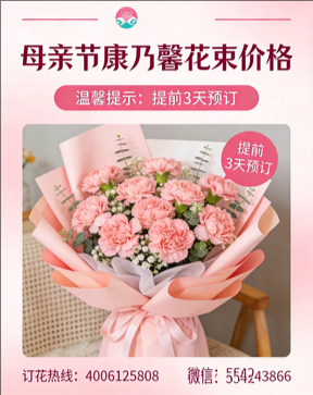 成都锦江区花店母亲节康乃馨花束