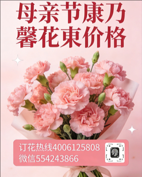 成都锦江区花店母亲节康乃馨花束